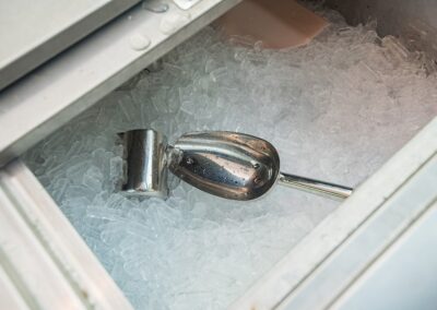 Ice Machine with Storage Bin